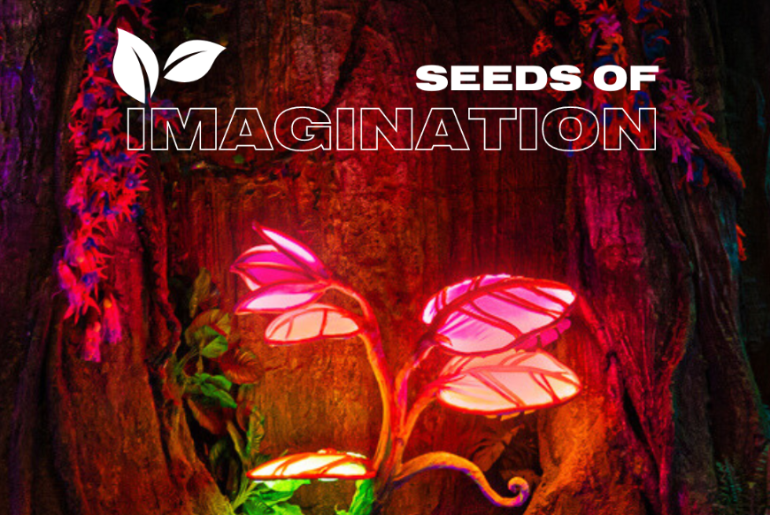 Seeds of Imagination